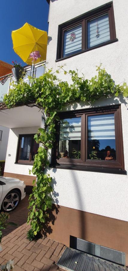 Apartamento Karibu Tiefenthal Exterior foto